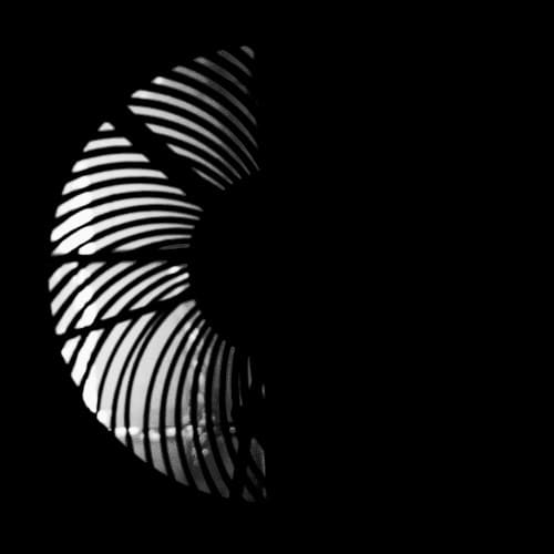 oeil
