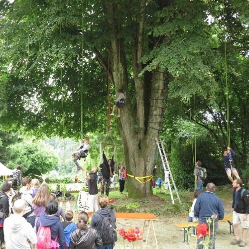 grimpe d arbre enfant dans les arbres o jardins pestaculaires regards de momes