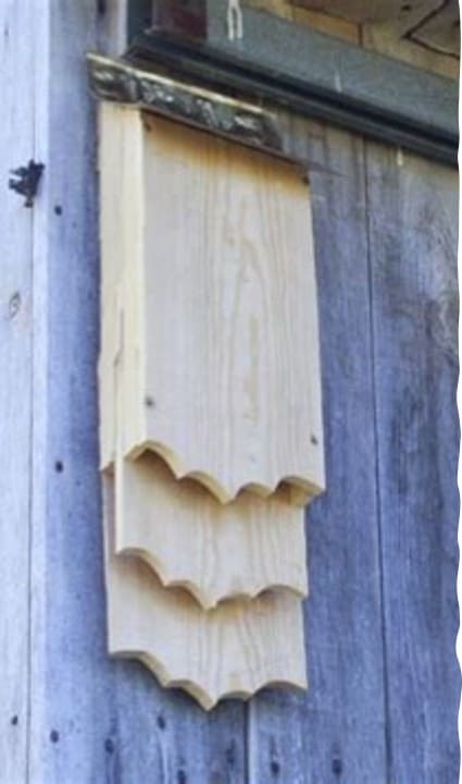 photo abri à chauve souris