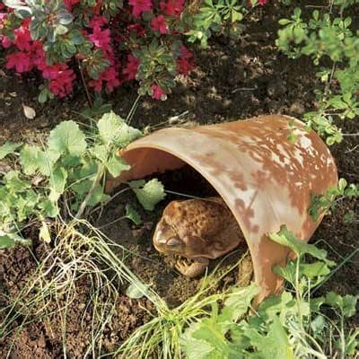 photo crapaudière
